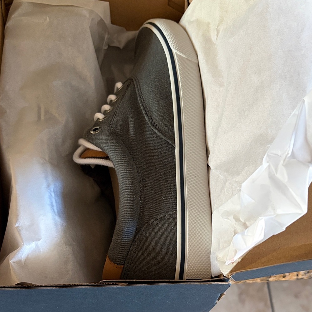 Sperry Charcoal Canvas Men's Sneakers